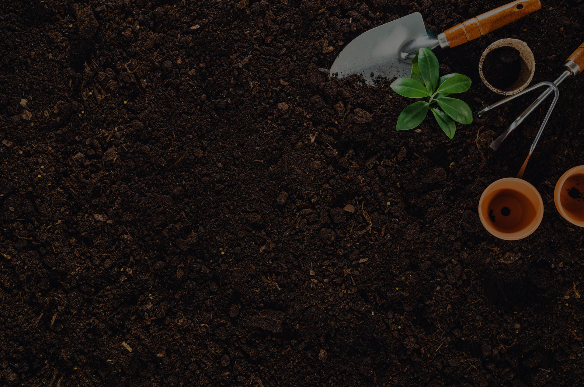 Gardening tools on fertile soil texture background seen from above